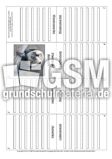 Faltbuch-Bartaffe.pdf